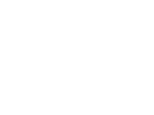 Aurora Hundtjänst